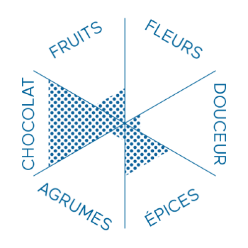 Infograph Italian Coffee